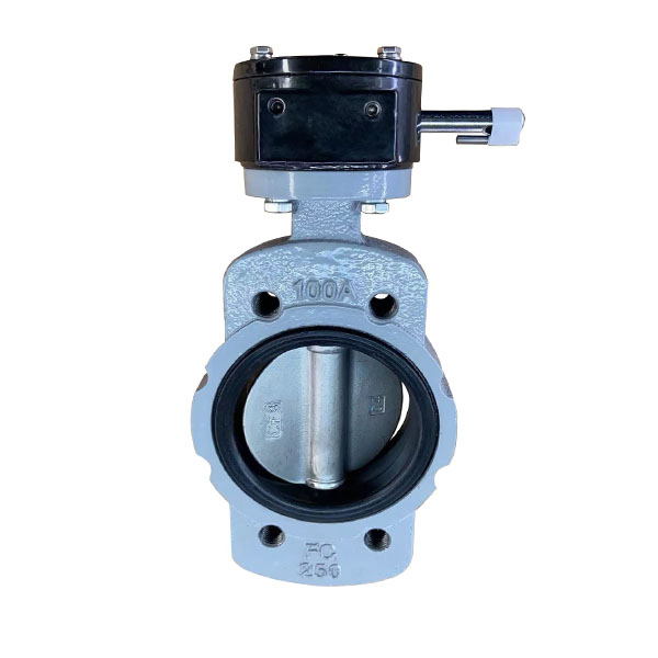 Marine Center Worm Manual Butterfly Valve DN100